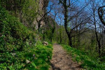 Obraz premium Vulkangestein in der Ardeche bei Thuyets