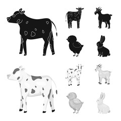 Vector design of breeding and kitchen  sign. Set of breeding and organic  stock vector illustration.