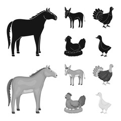 Isolated object of breeding and kitchen  logo. Collection of breeding and organic  vector icon for stock.