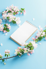 Blooming spring sakura on a blue background with notepad space for a greeting message. The concept of spring and mother's day. Beautiful delicate pink cherry flowers in springtime