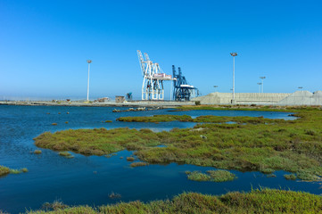 cranes in port by the bay with marches and blue sky