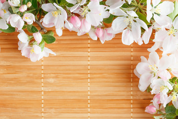 Frame of spring flowers of sakura on bamboo background. Beautiful cherry blossom sakura in springtime