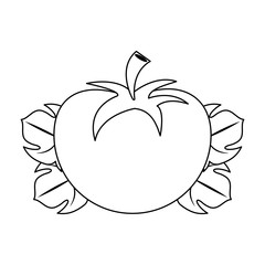 Tomato on leaves fresh vegetable in black and white
