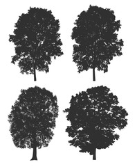 Fototapeta premium Tree set collection isolated on white background. Silhouette trees. Clipping path included