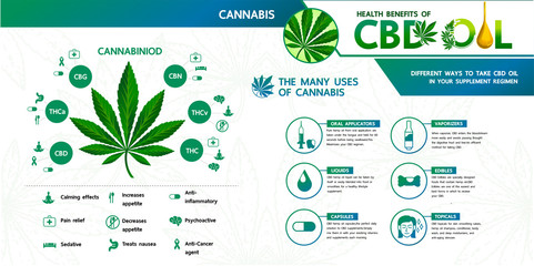 Cannabis with many benefits  vector illustration.