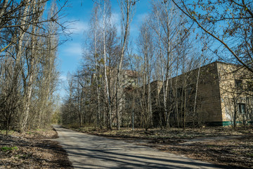 Street of the abandoned ghost town Pripyat. Overgrown trees and collapsing houses in the exclusion zone of the Chernobyl nuclear disaster