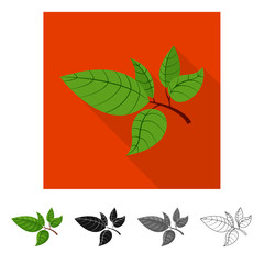 Vector design of tea and leaf sign. Collection of tea and fresh stock vector illustration.