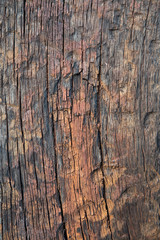 Background in old rustic wooden plank