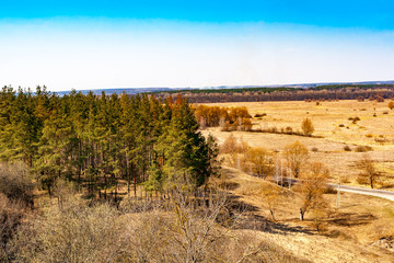 Forest and steppe in early spring.
