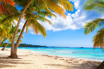 Fototapeta na wymiar Vacation summer holidays background wallpaper - sunny tropical exotic Caribbean paradise beach with white sand in Seychelles Praslin island Thailand style with palms and rocks