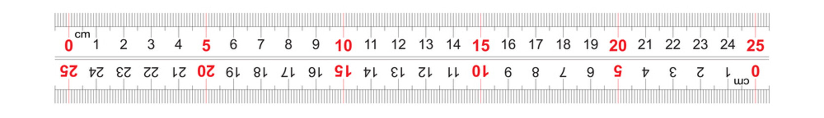 Ruler bidirectional double sided 250 millimeter, 25 centimeter. The division price is 1 mm. Precise measuring tool. Calibration grid.