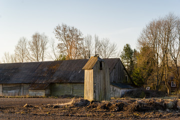 Wzgórz sokólskie, Stary wiatrak, Krajobraz wiejski Podlasia © podlaski49