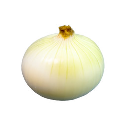 WHITE ONION LATERAL 2