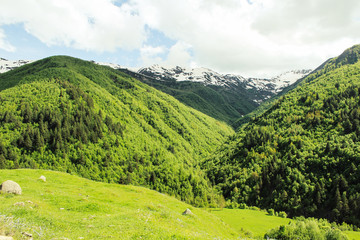 Fototapeta na wymiar Green landscape with alpine meadow and snowcapped mountain peak in the Caucasus in Georgia