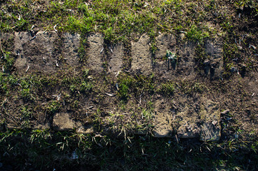 Fototapeta premium old stone path