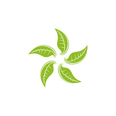 Leaf icon logo design vector template