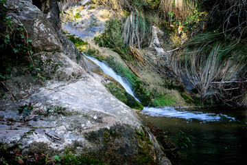 waterfall in the forest