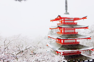 新倉山浅間公園の桜と雪