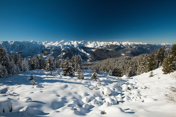 Fototapeta na wymiar Panoramic view down snow covered valley in alpine mountain range with conifer pine trees