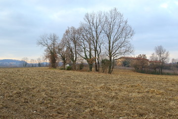 For centuries, men have learned to plow the land