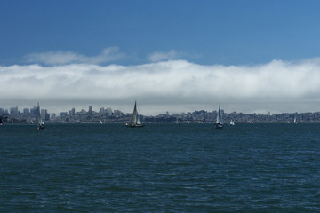 Naklejka premium view of the sea in Tiburon California USA