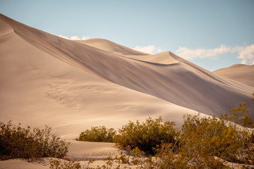 Fototapeta na wymiar Big Sand Dunes in the desert of Nevada - travel photography