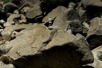 rocks in Yosemite Park California USA