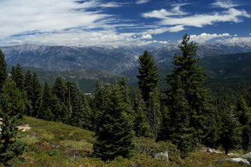 Fototapeta na wymiar view of mountains in Kings Canyon Park California USA