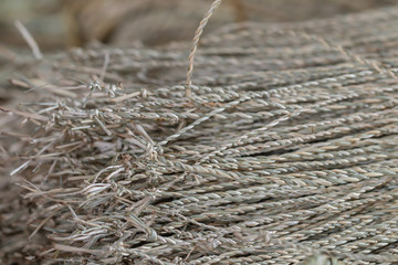 Wickerwork mat texture made from dry sedge background.Close up surface texture of hand made craft work papyrus sedge.