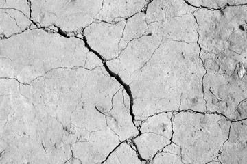 Cracked ground texture in white and black.