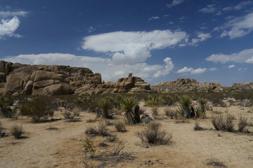 landscape with mountains and blue sky in Joshua Tree National Park California USA