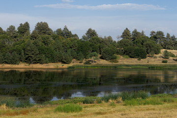 landscape with river and trees in Julian California USA