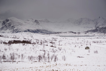 Winter landscape in Lofoten Archipelago, Norway, Europe