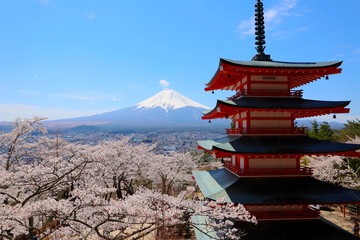 新倉山浅間公園の五重塔と富士山と満開の桜