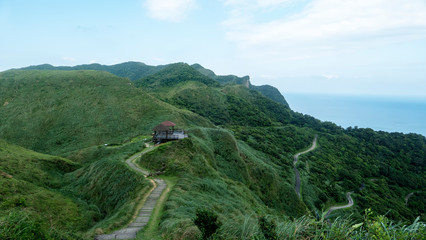 Miscanthus on the Cao Ling Ancient Trail in the northeast corner of Taiwan