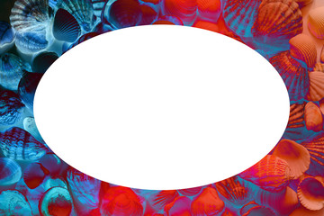 Background with different seashells in neon light on the sides and isolated in the center of white space for text. Large photo.