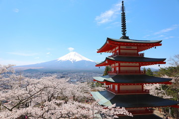 新倉山浅間公園の五重塔と富士山と満開の桜