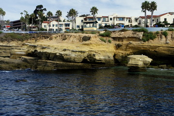 Fototapeta na wymiar coast of sea La Jolla San Diego California USA