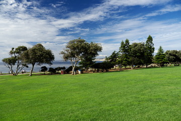 Fototapeta na wymiar view of park La Jolla San Diego California USA