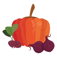 Vegetables pumpkin and radish