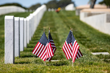 american flag in cemetery