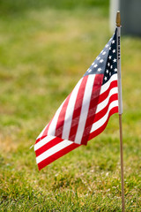 american flag in grass