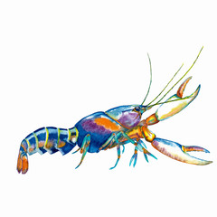 Colorful realistic lobster.