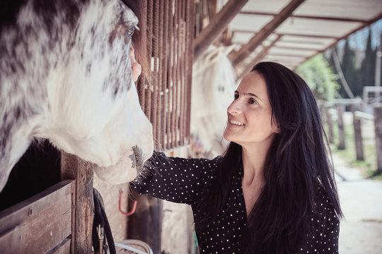 Attractive charming woman touching beautiful horse in stall
