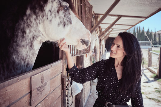 Attractive charming woman touching beautiful horse in stall