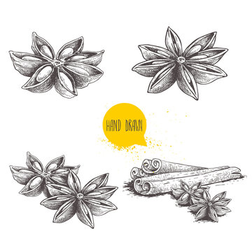 Anise star sketches set. Single, batch and composition with cinnamon sticks. Herbs and condiment retro style hand drawn collection. Vector illustrations isolated on white background.