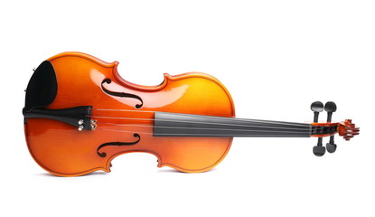 Violin isolated on white background