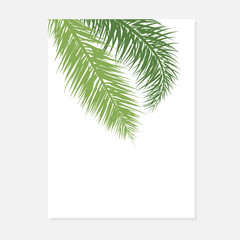 Minimalist botanical wedding invitation card template design. Vector decorative greeting card or invitation design background. Wedding Invitation, save the date, rsvp, invite card.