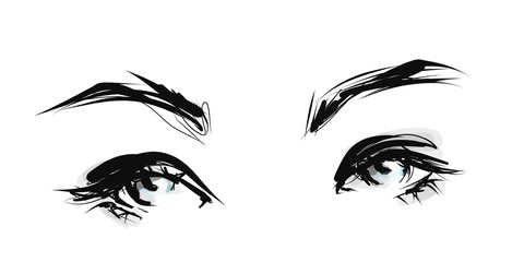 Drawn female eyes, vector