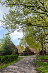 Fototapeta na wymiar Village of Orvelte Drente Netherlands. Countrylife. Farm